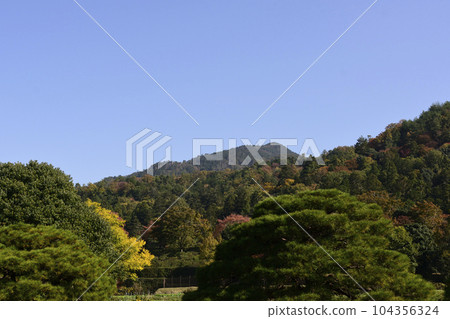 Shogakuin Nomiya松樹和鄉村景觀 104356324