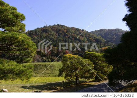 Shogakuin Nomiya pine tree and rural landscape Shogakuin Nomiya pine tree and rural landscape 104356328