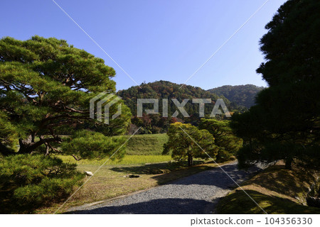 Shogakuin Nomiya pine tree and rural landscape Shogakuin Nomiya pine tree and rural landscape 104356330