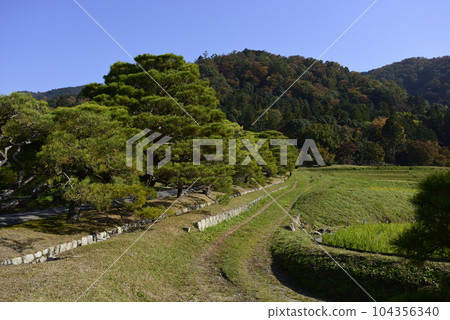 Shogakuin Nomiya松樹和鄉村景觀 Shogakuin Nomiya松樹和鄉村景觀 104356340