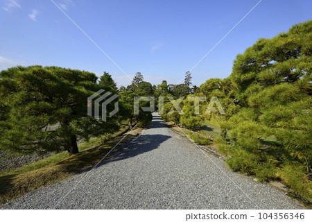 Shogakuin Nomiya松樹和鄉村景觀 104356346