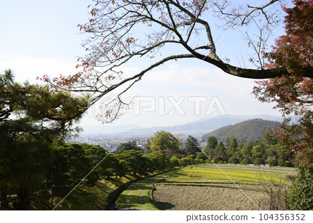Shogakuin Nomiya松樹和鄉村景觀 Shogakuin Nomiya松樹和鄉村景觀 104356352