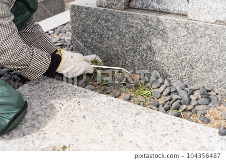 Grave weeding Grave cleaning Grave weeding Grave cleaning 104356487