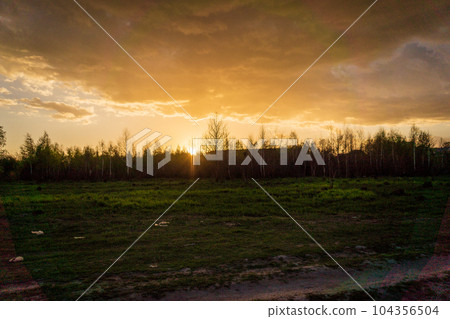 Green meadow under sunset sky with clouds 104356504