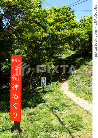 Tsurumi-dake, a popular sightseeing spot in Beppu City, landscape of the walking course colored with Rhododendron kirishima and fresh greenery 104356565