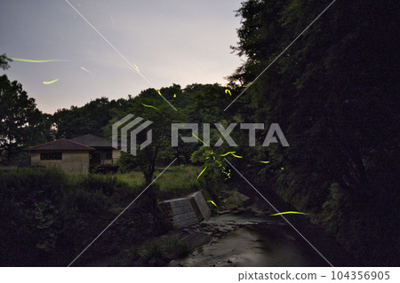 Fireflies from Ikeyama Springhead Fireflies from Ikeyama Springhead 104356905