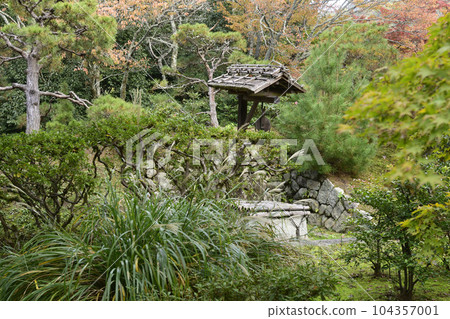 Shogakuin Rikyu秋葉 104357001