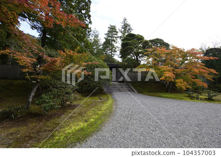 Shogakuin Rikyu秋葉 104357003