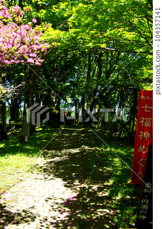 別府市的人氣觀光景點鶴見岳,霧島杜鵑和新綠的散步路線景觀 別府市的人氣觀光景點鶴見岳,霧島杜鵑和新綠的散步路線景觀 104357141