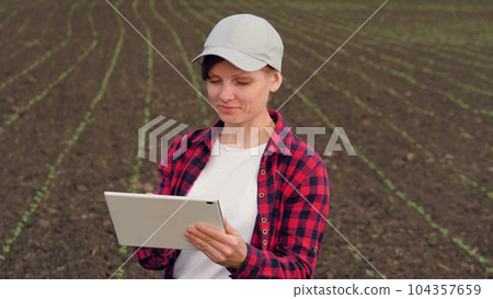 farmer working tablet field, seedlings ground ground soil row, business growing vegetable plants, tablet hand agriculture, young grass work ecoculture harvesting girl road control field contract care 104357659