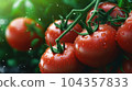 A close up of tomato plant in plantation 104357833