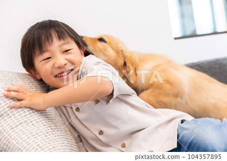 child playing with puppy child playing with puppy 104357895