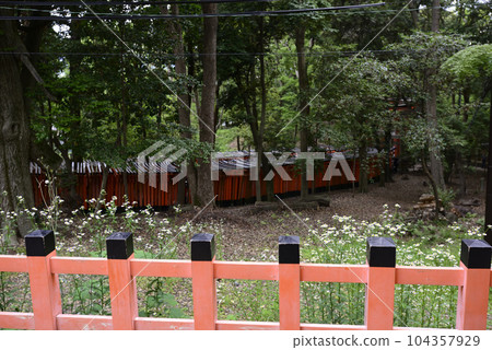 Fushimi-Inari Taisha Shrine Torii Torii 104357929