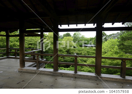 Tofukuji Temple Fresh green seen from Tsutenkyo Bridge 104357938