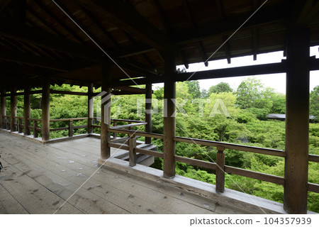 Tofukuji Temple Fresh green seen from Tsutenkyo Bridge Tofukuji Temple Fresh green seen from Tsutenkyo Bridge 104357939