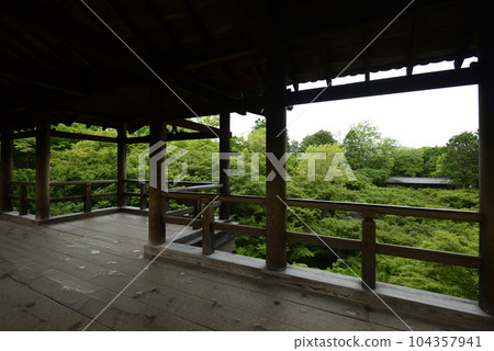 從通天橋看到的東福寺新綠 104357941