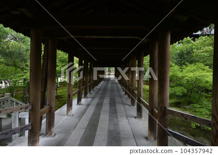 從通天橋看到的東福寺新綠 104357942