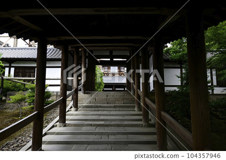 Tofukuji Temple Fresh green seen from Tsutenkyo Bridge Tofukuji Temple Fresh green seen from Tsutenkyo Bridge 104357946