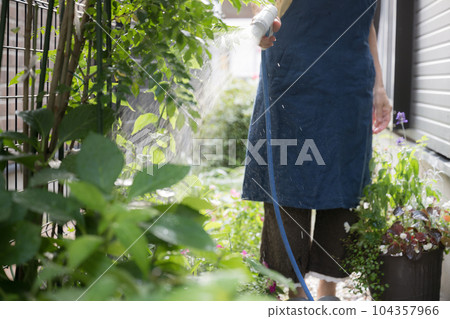 Watering the garden, image of gardening, etc. 104357966