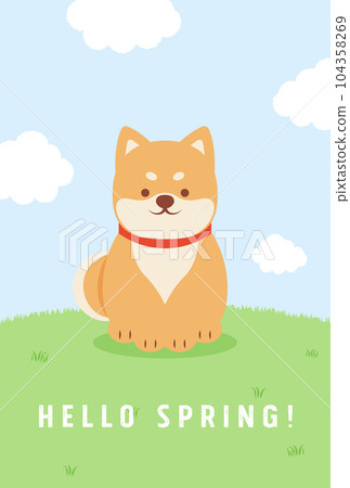 坐在田野裡的柴犬的背景插圖 坐在田野裡的柴犬的背景插圖 104358269