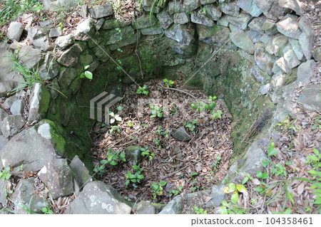 德島縣脅町井之垣四國村三世岩坑(複製品) 德島縣脅町井之垣四國村三世岩坑(複製品) 104358461