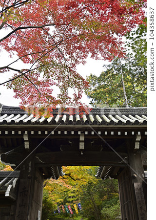 Akayama Zen Buddha Mountain gate 104358637