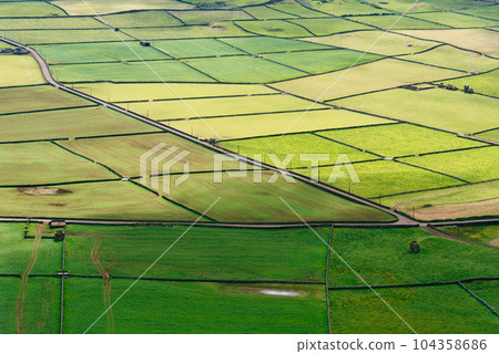 Panoramic aerial view of traditional rural farmland in Terceira Island 104358686