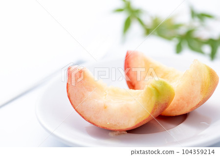 莫莫（白背）背景白 104359214