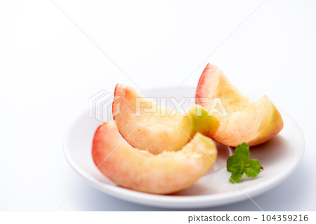 莫莫(白背)背景白 莫莫(白背)背景白 104359216