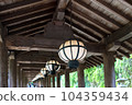 Hasedera Hydrangea 104359434