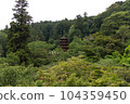 Hasedera Hydrangea 104359450