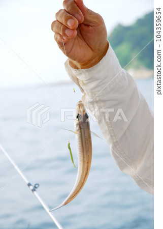 船釣 船釣 104359654