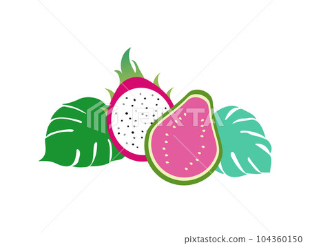 Simple illustration of tropical fruits (guava, dragon fruit) and monstera leaves Simple illustration of tropical fruits (guava, dragon fruit) and monstera leaves 104360150