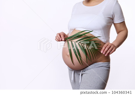 Midsection. Close-up pregnant woman with naked belly, expecting baby, holding palm leaf on her belly in pregnancy trimester third. Body care. Natural cosmetics concept. Stretch marks. Body positivity 104360341