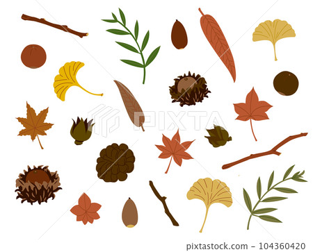 leaves, nuts and branches 104360420