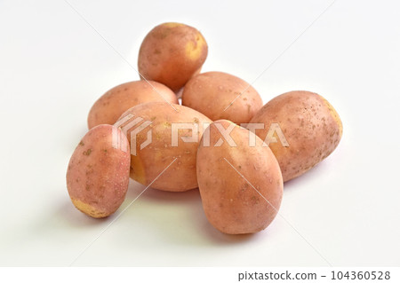Potato (Inca's Hitomi) 104360528