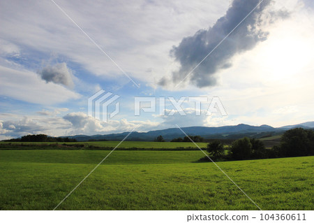 綠色的田野和藍藍的天空 104360611