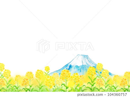 水彩插圖富士山和油菜花田 水彩插圖富士山和油菜花田 104360757