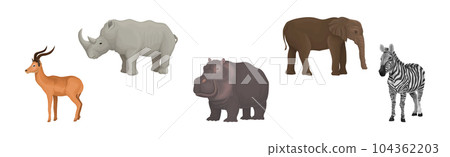 African Animal with Rhino, Gazelle, Hippo, Zebra and Elephant Vector Set African Animal with Rhino, Gazelle, Hippo, Zebra and Elephant Vector Set 104362203