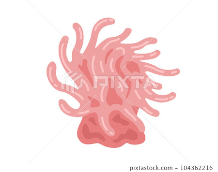 粉紅色海葵的插圖 104362216