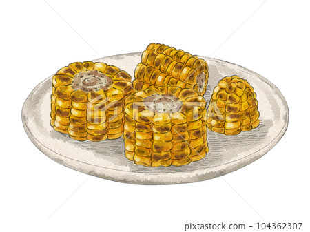 切好的烤玉米插圖（水彩風格） 104362307