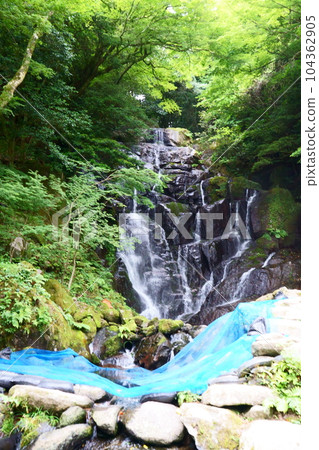 Shiraito Falls, a summer resort in early summer 104362905