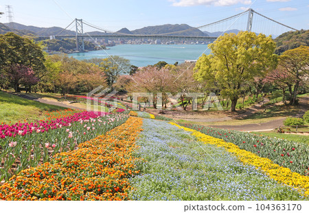 Tulips in Hinoyama Park Tulips in Hinoyama Park 104363170