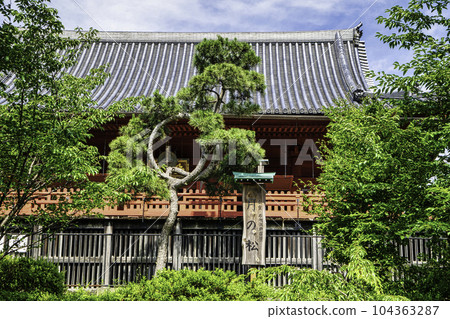 上野公園清水觀音堂和廣重的月之松 104363287