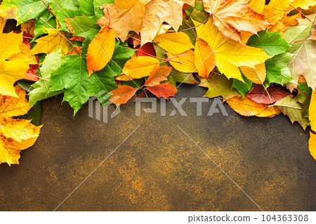 Autumn background with fallen leaves Autumn background with fallen leaves 104363308