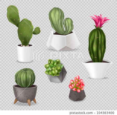 Realistic Cactus Pots Set 104363400
