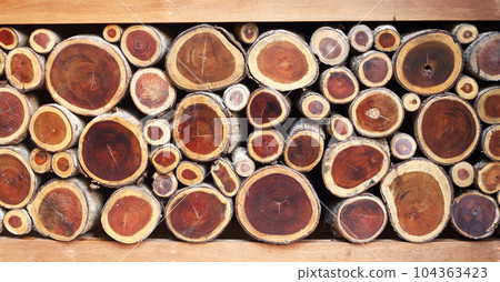 Old cutting wood arrange in row show brown log surface as nature backdrop - Home interier design. 104363423