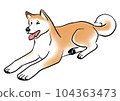 秋田犬躺著放鬆 104363473