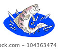 跳山女人魚 104363474