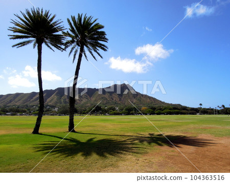 View of Diamond Head from Kapiolani Park in Hawaii View of Diamond Head from Kapiolani Park in Hawaii 104363516